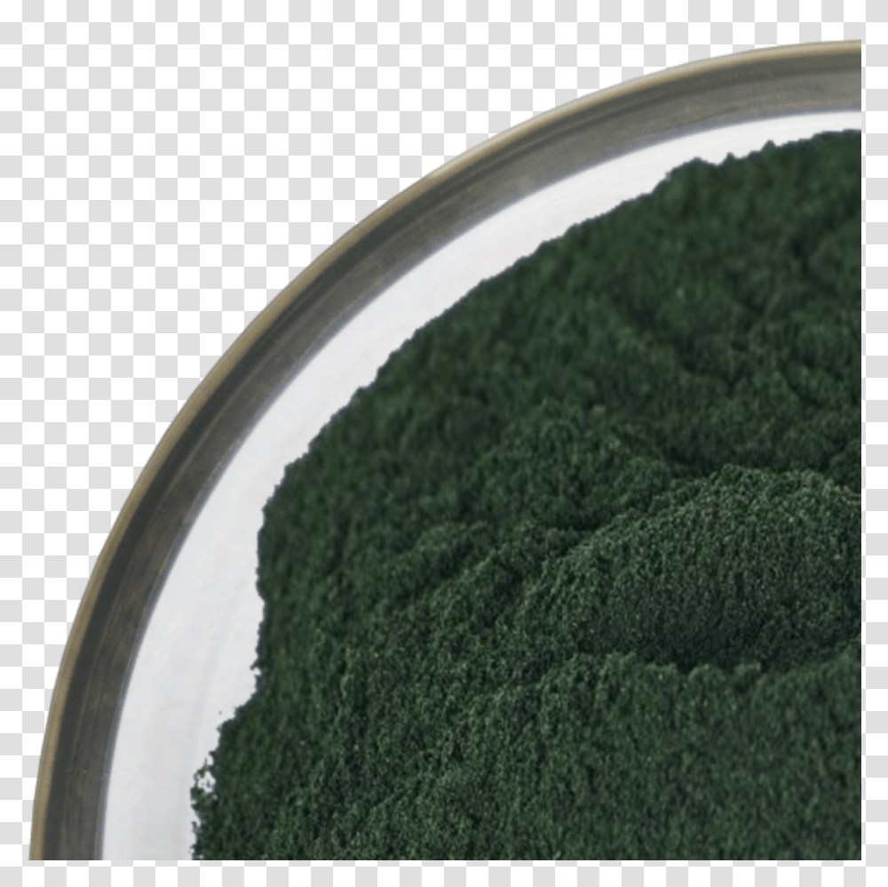Certified Dried Kelp Powder For Grass Transparent Png