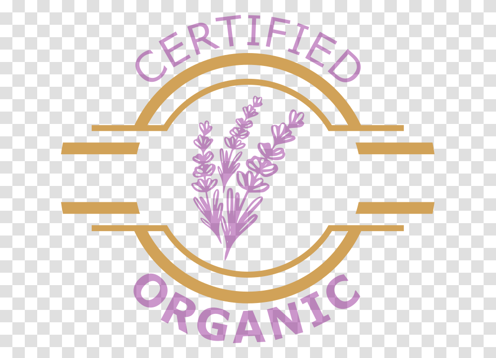 Certified Drs Agent Logo, Poster, Advertisement Transparent Png