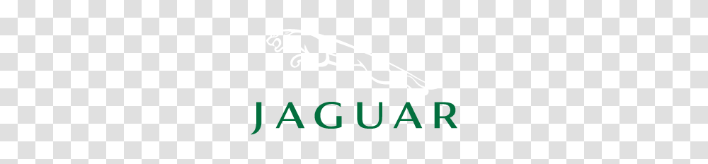 Certified Jaguar Body Shop In Atlanta, Label, Word Transparent Png