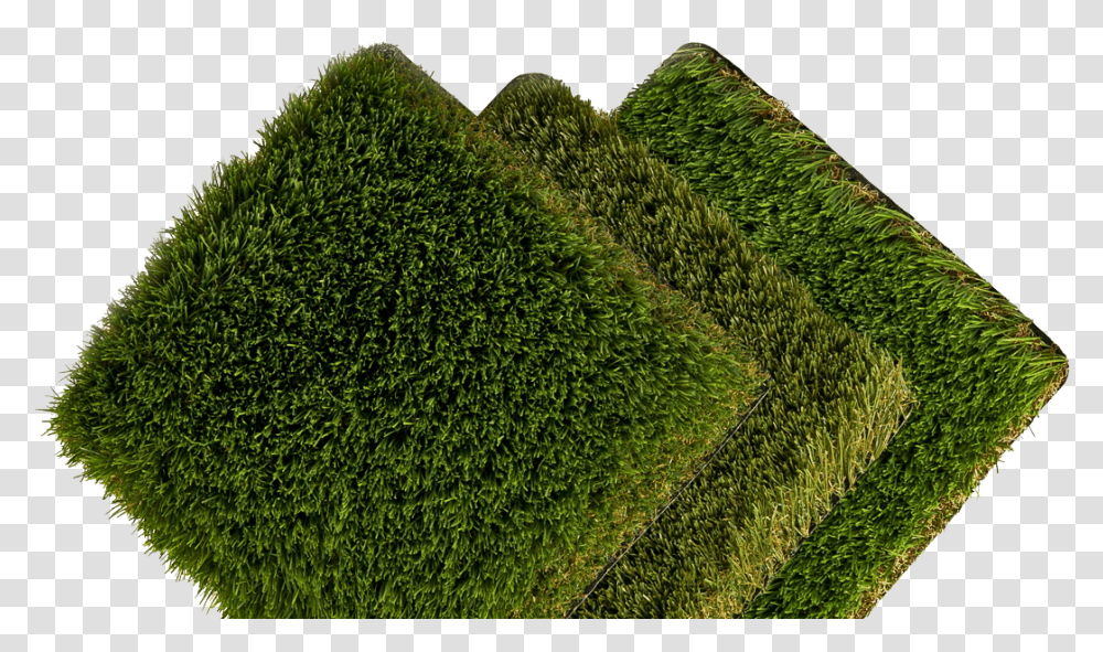 Cesped Lawn, Moss, Plant, Grass, Field Transparent Png