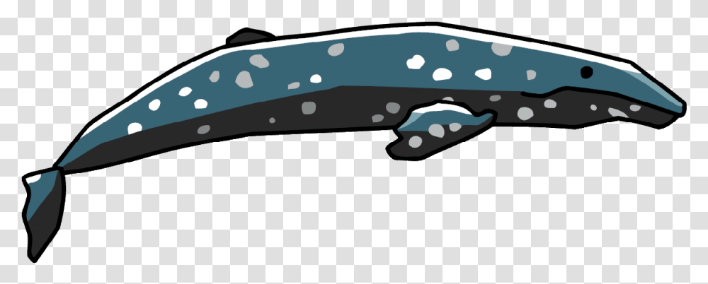 Cetacea Image Gray Whale, Outdoors, Weapon, Animal, Blade Transparent Png