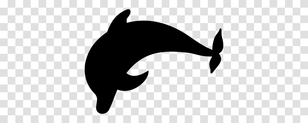 Cetacea Whale Conservation Beluga Whale Killer Whale Blue Whale, Gray, World Of Warcraft Transparent Png