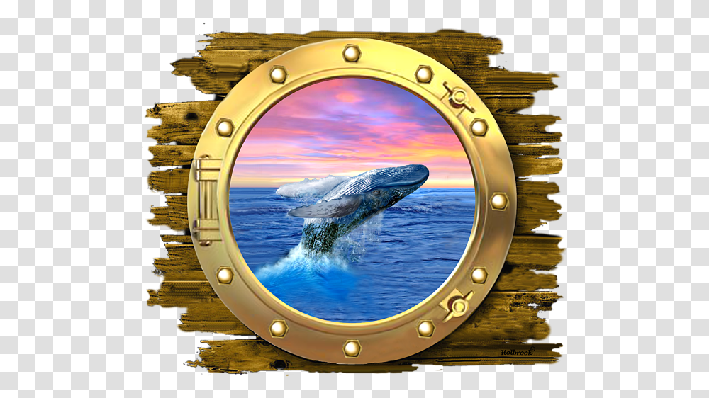 Cetacean Surfacing Behaviour, Window, Porthole, Sunglasses, Accessories Transparent Png