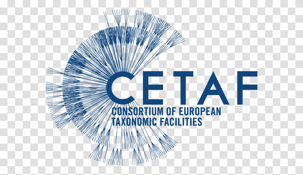 Cetaf Consortium Of European Taxonomic Facilities Richard Amp The Shadows Reunited, Photography, Spoke, Machine Transparent Png