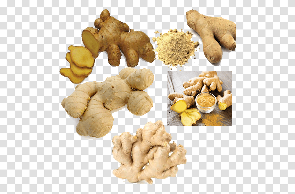 Ceylonka Brown Vegetables, Plant, Ginger, Food, Fungus Transparent Png