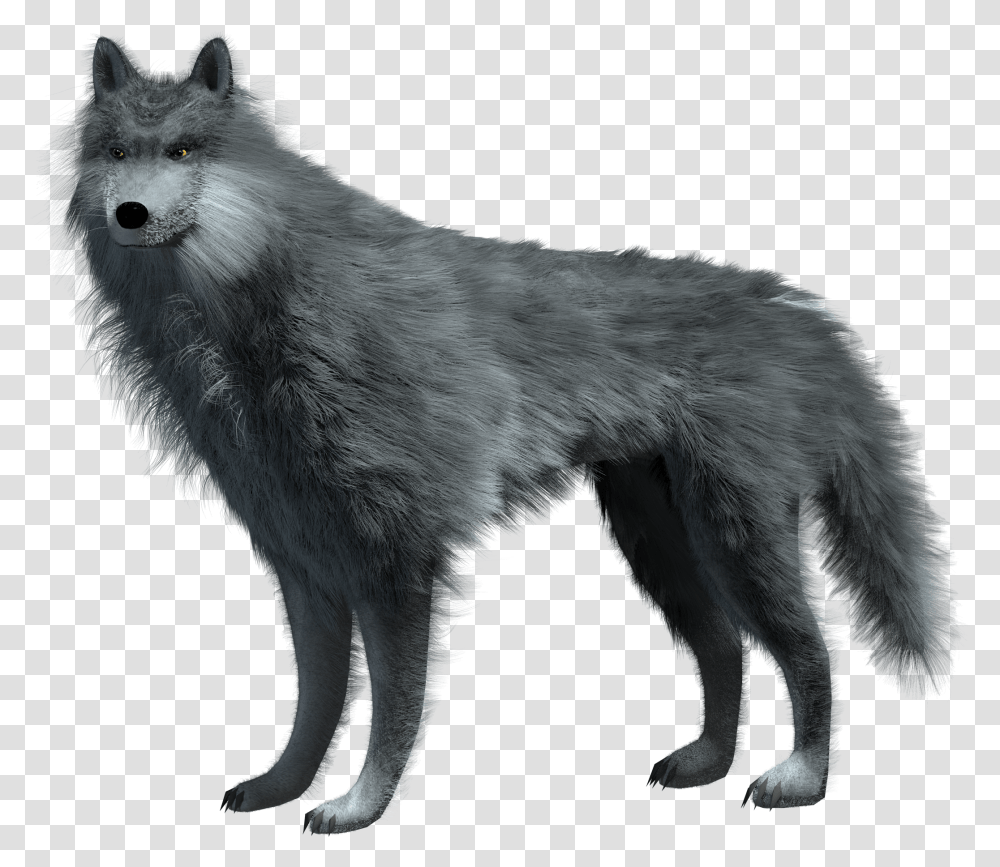 Cg Wolf Image Gambar Serigala, Mammal, Animal, Cat, Pet Transparent Png