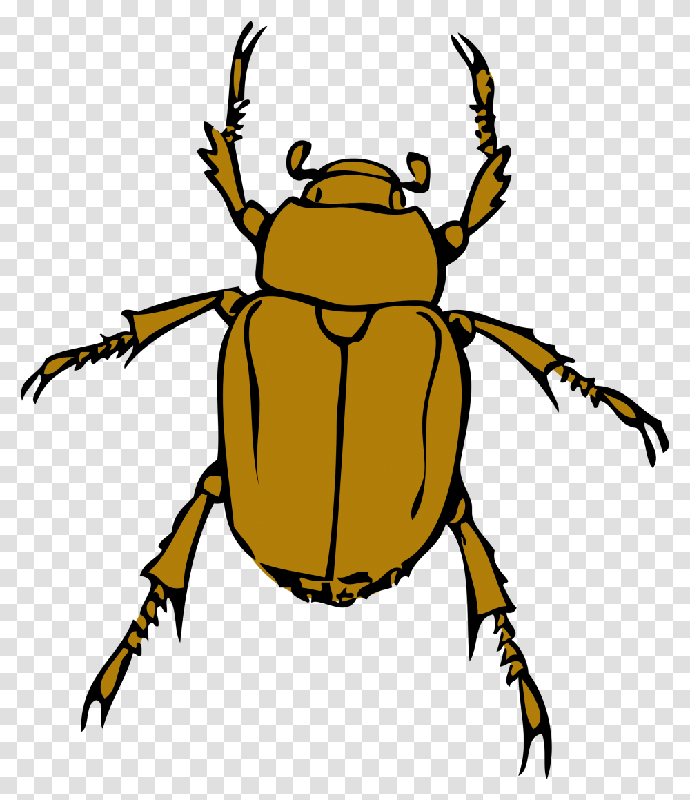 Chafer Bug Icons, Insect, Invertebrate, Animal, Dung Beetle Transparent Png
