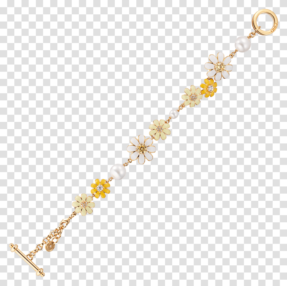 Chain, Accessories, Accessory, Necklace, Jewelry Transparent Png