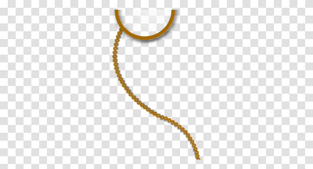 Chain, Accessories, Accessory, Snake, Reptile Transparent Png