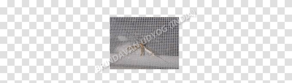 Chain Link Fencing, Insect, Invertebrate, Animal, Rug Transparent Png