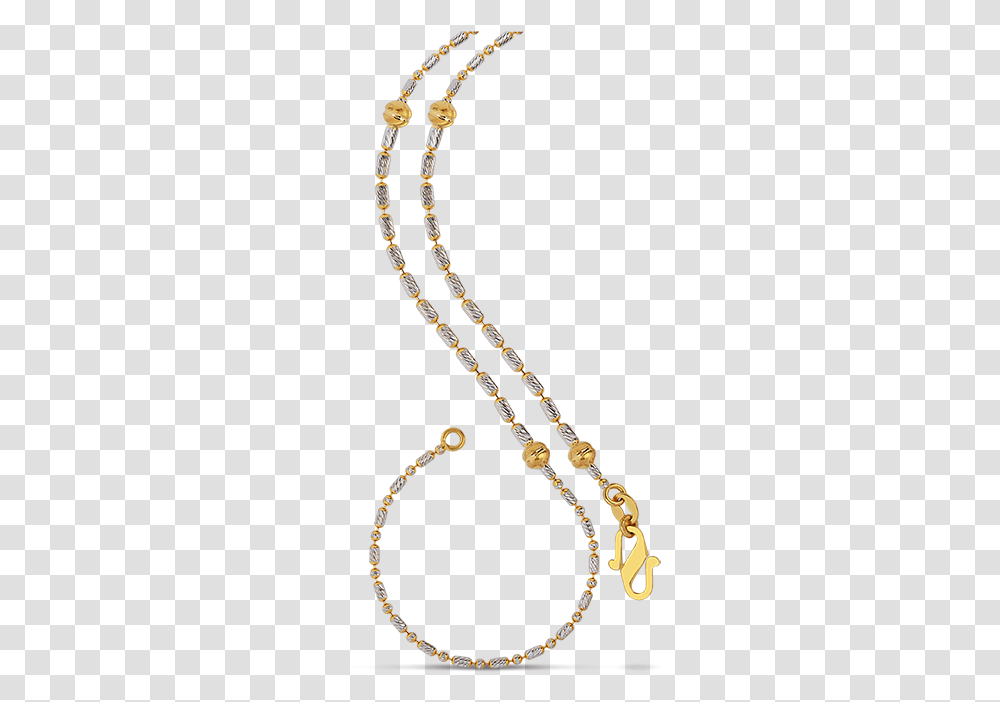 Chain, Necklace, Jewelry, Accessories, Accessory Transparent Png