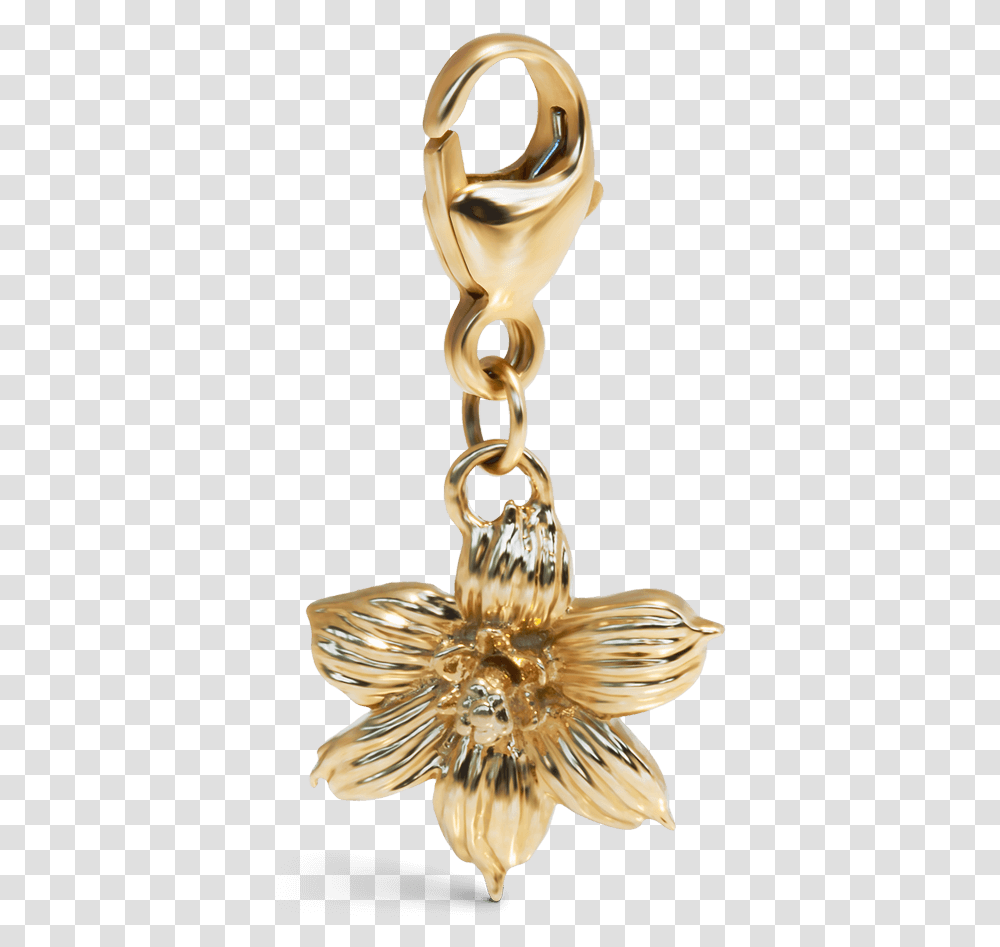 Chain, Pendant, Bronze, Bird, Animal Transparent Png