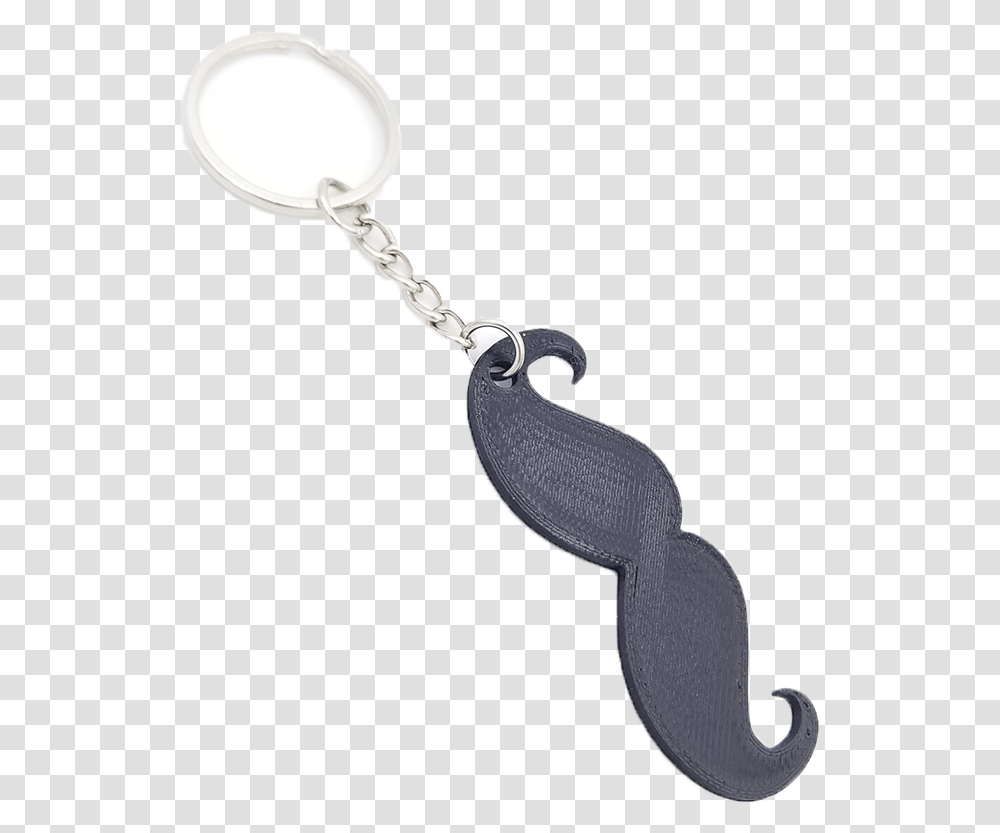 Chain, Pendant, Hook Transparent Png