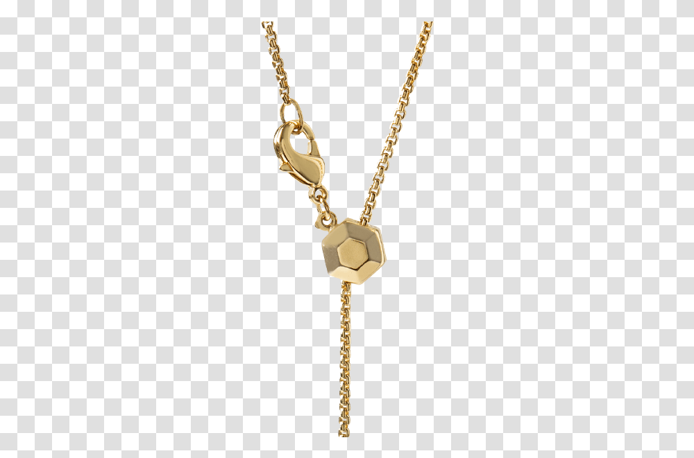 Chain, Pendant, Jewelry, Accessories, Accessory Transparent Png