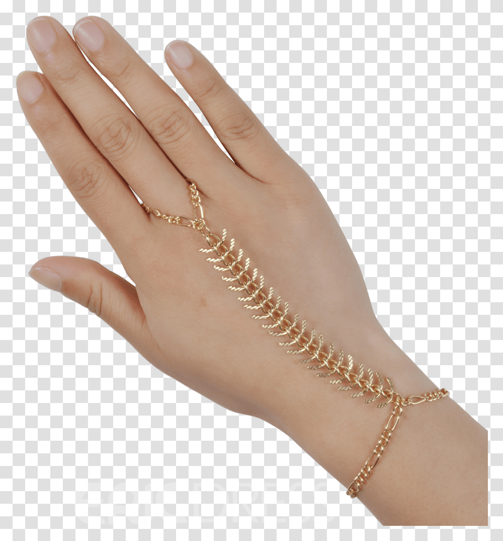 Chain, Person, Human, Accessories, Accessory Transparent Png