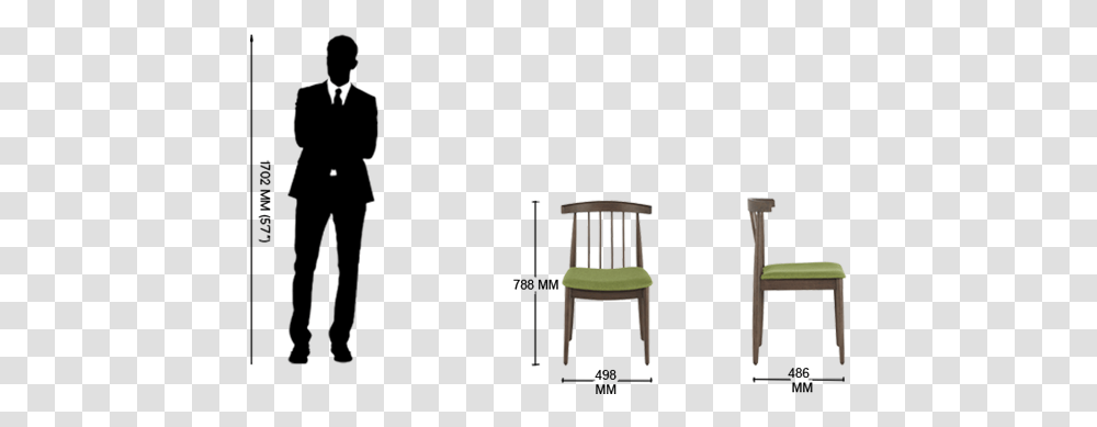 Chair, Furniture, Bird, Animal, Tabletop Transparent Png