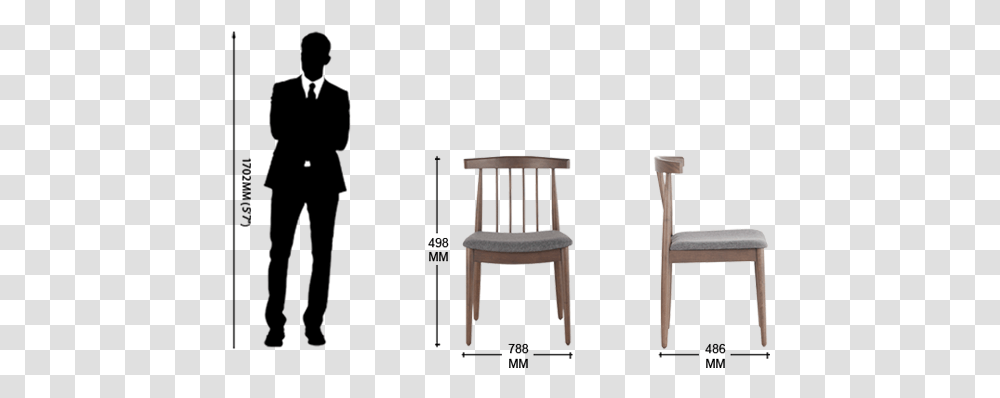 Chair, Furniture, Bird, Animal, Tabletop Transparent Png