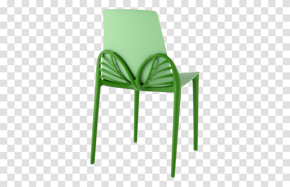 Chair, Furniture, Plant, Green, Tabletop Transparent Png