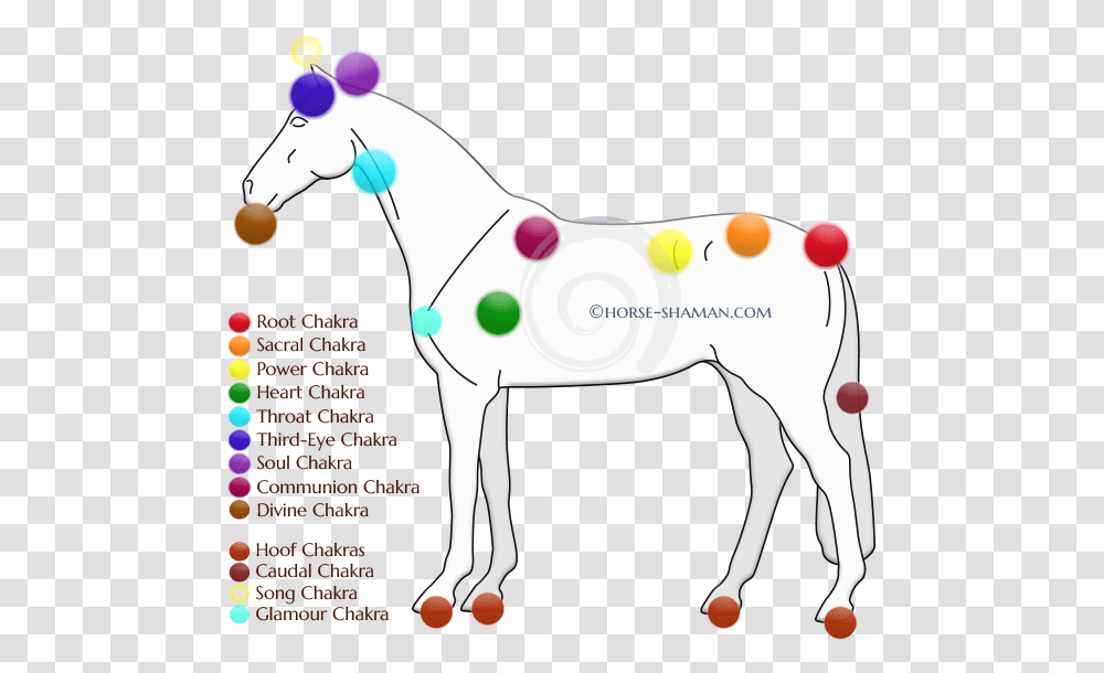 Chakras On A Horse, Mammal, Animal, Dog, Pet Transparent Png – Pngset.com