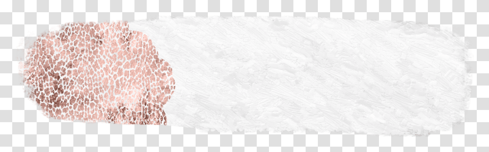 Chambered Nautilus, Rug, People, Floor, Marble Transparent Png
