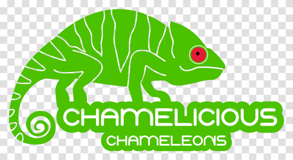 Chameleon, Lizard, Reptile, Animal, Iguana Transparent Png