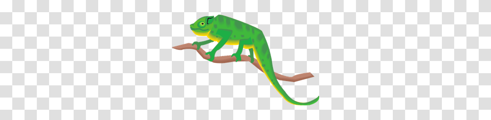Chameleon On A Branch Clip Arts For Web, Lizard, Reptile, Animal, Iguana Transparent Png