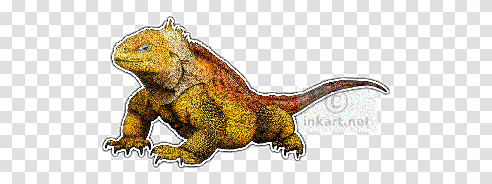 Chameleons Dragons And Galapagos Land Iguana Background, Lizard, Reptile, Animal, Snake Transparent Png