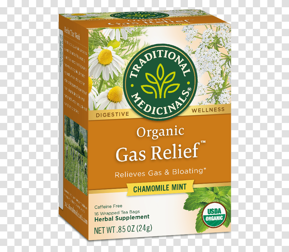 Chamomile Herbal Tea, Flyer, Poster, Paper, Advertisement Transparent Png