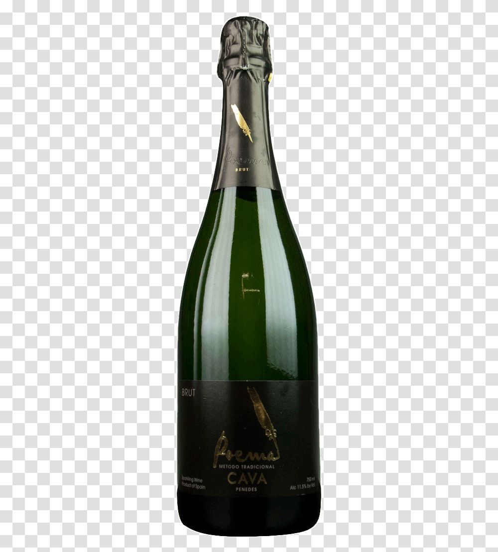 Champagne, Bottle, Plant, Alcohol, Beverage Transparent Png