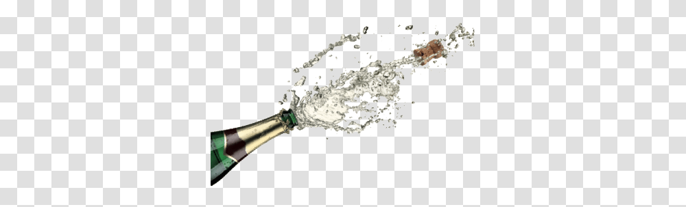 Champagne, Drink, Beverage, Bottle, Alcohol Transparent Png