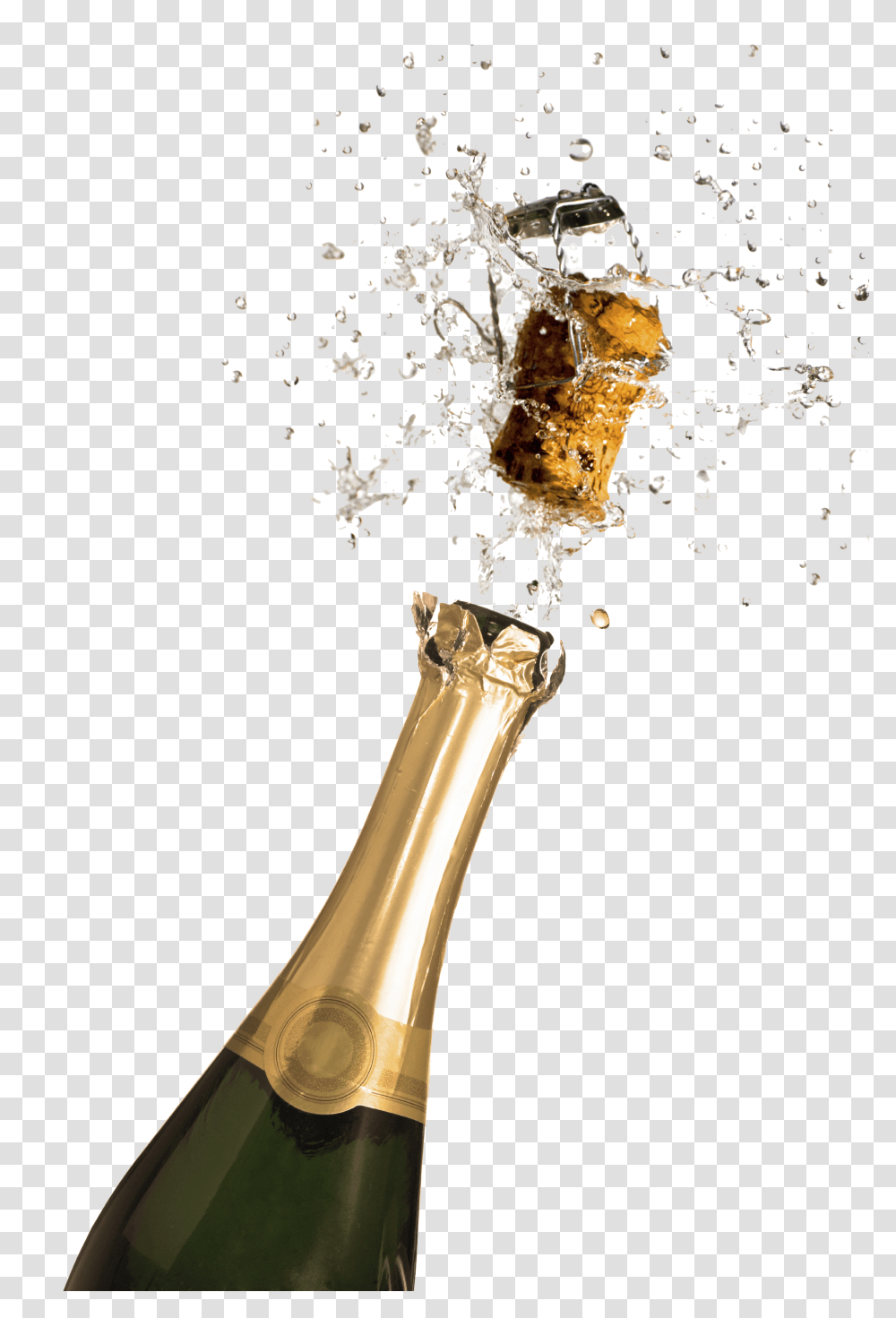 Champagne, Drink, Insect, Animal, Beer Transparent Png