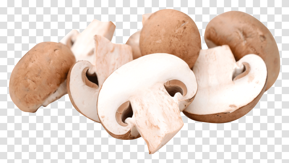 Champignon Mushroom, Plant, Fungus, Agaric, Amanita Transparent Png