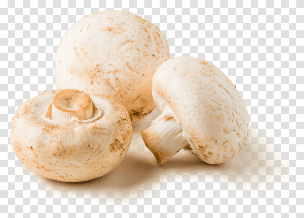 Champignon, Plant, Egg, Food, Mushroom Transparent Png