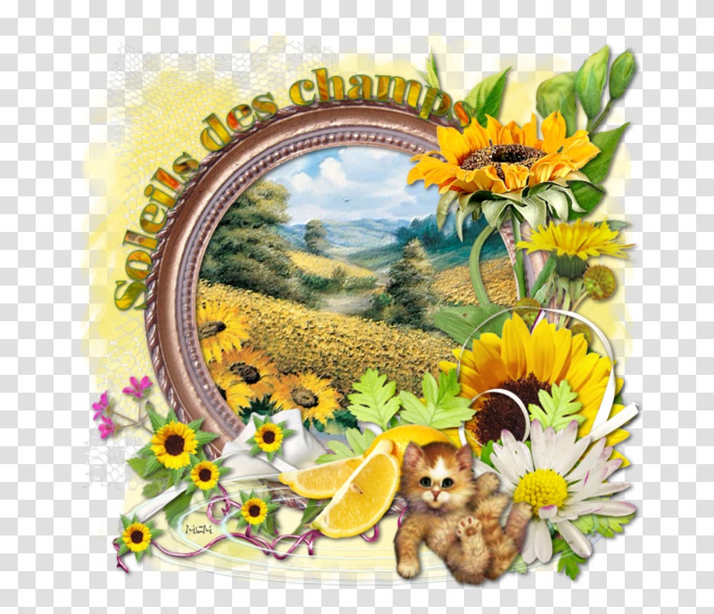 Champs De Tournesols En, Label, Dog, Poster Transparent Png