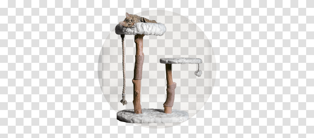 Chance To Win A Mau Rizzo Cat Tree Cat Tree, Lamp, Table Lamp, Lampshade, Wood Transparent Png