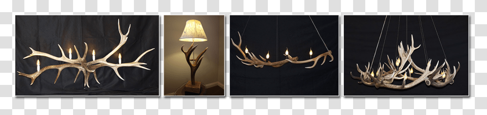 Chandelier, Antler, Lamp, Table Lamp Transparent Png