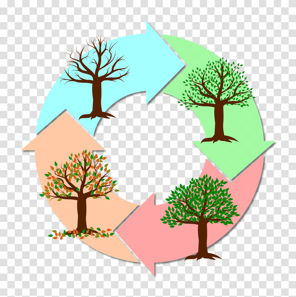 Change Of Seasons Clip Art Free Cliparts, Tree, Plant Transparent Png