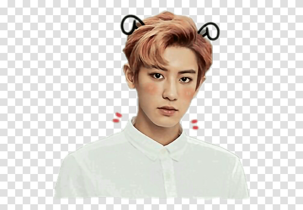 Chanyeol Exo Cute Sticker Chanyeol, Face, Person, Boy Transparent Png