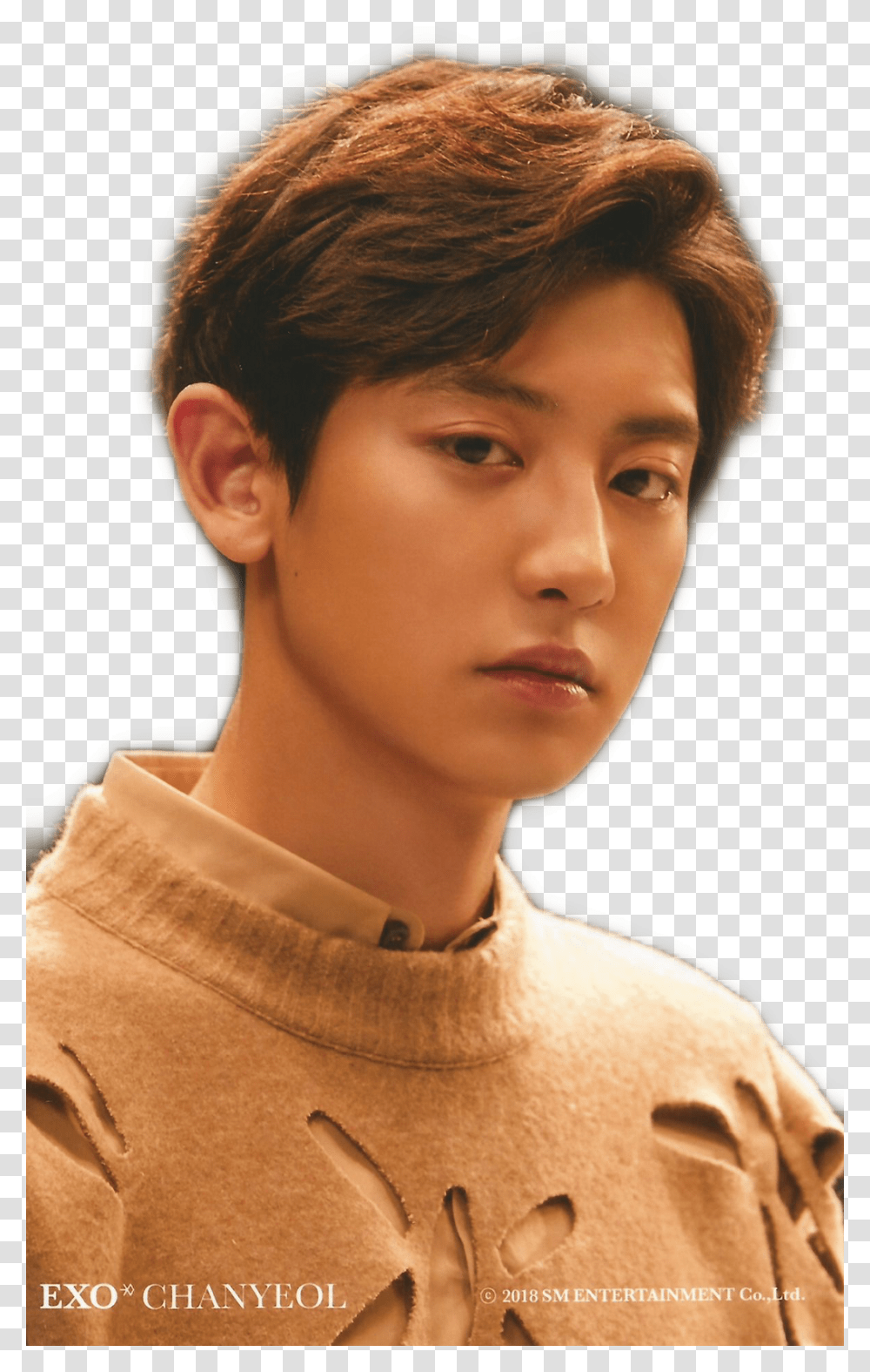 Chanyeol Stickerremix Exochanyeol Chanyeolexo Freetoedit Chanyeol Universe, Face, Person, Head Transparent Png