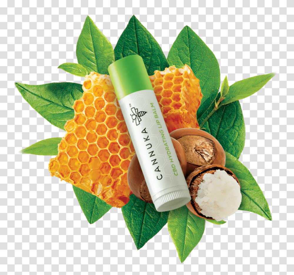 Chapstick Superfood, Bottle, Cosmetics, Plant, Pineapple Transparent Png
