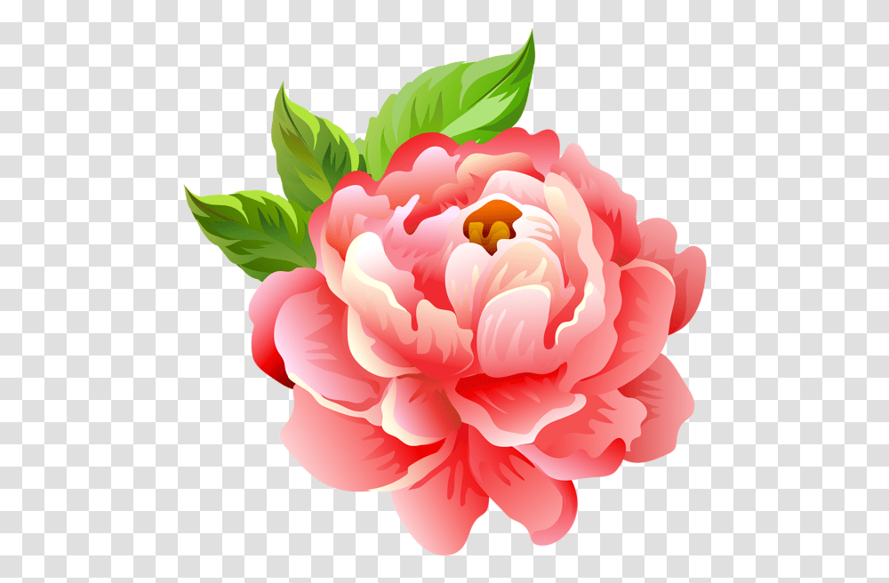 Chapteh Clipart Flowers - Yespressinfo Bouquet Of, Plant, Blossom, Rose, Peony Transparent Png