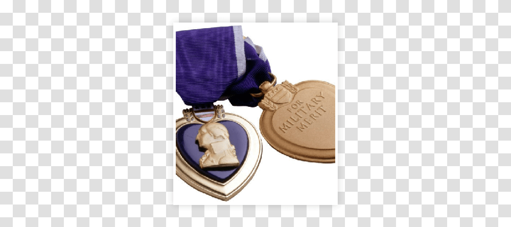 Chapter 776 Moph Purple Heart Medal Logo, Gold, Gold Medal, Trophy, Person Transparent Png