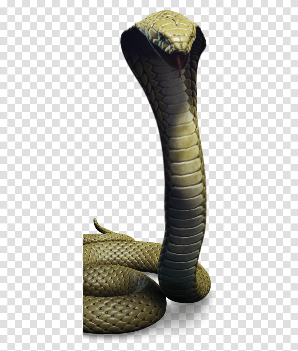 Character Cobra Jungle Thumbnail King Cobra, Snake, Reptile, Animal Transparent Png