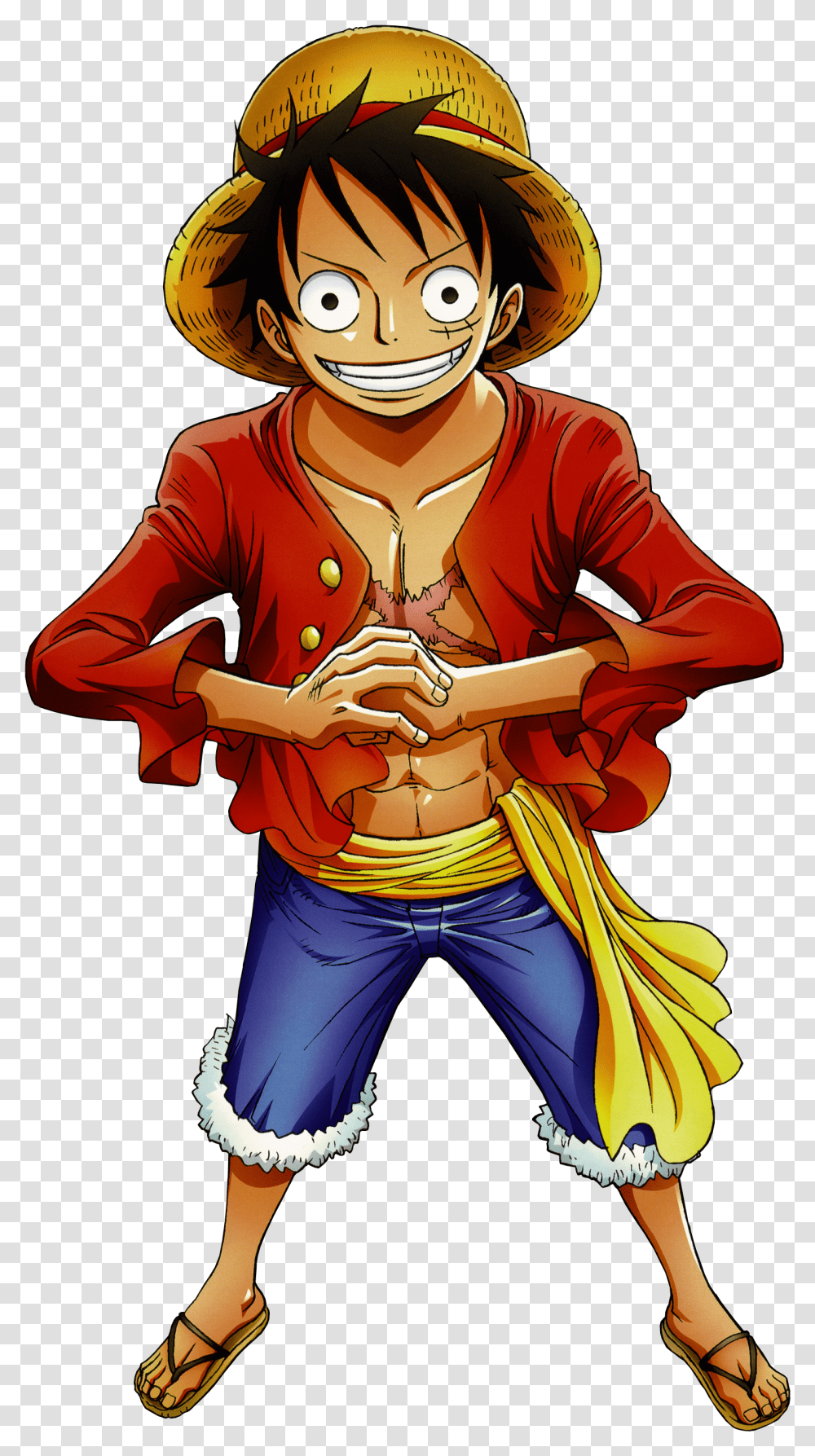 Character Profile Wikia One Piece Luffy Transparent Png