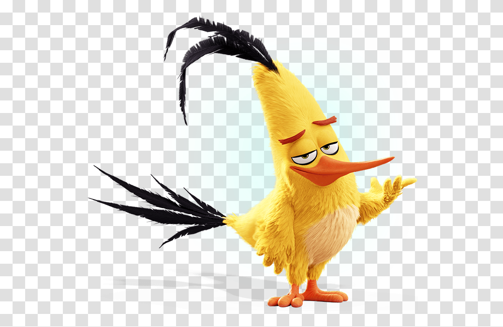 Characters Angry Birds, Animal, Drawing Transparent Png