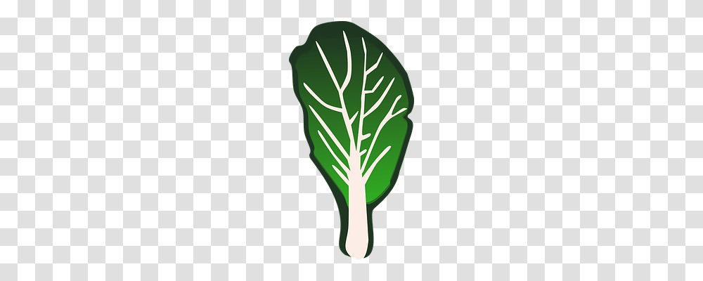 Chard Food, Plant, Vegetable, Produce Transparent Png