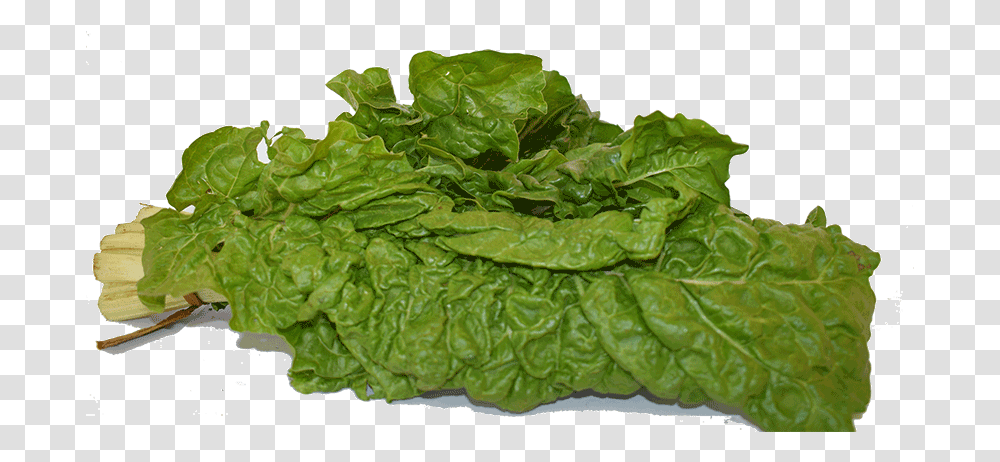 Chard, Plant, Spinach, Vegetable, Food Transparent Png