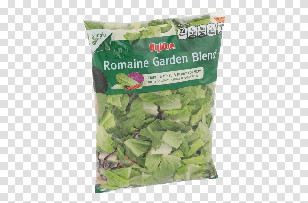 Chard, Plant, Spinach, Vegetable, Food Transparent Png