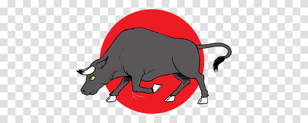 Charge Animals, Mammal, Wildlife, Aardvark Transparent Png