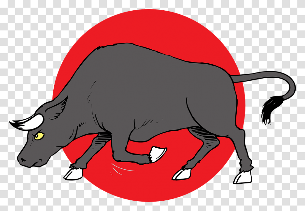 Charge Bull Horns Animal Tail Preparing Bull Preparing To Charge, Mammal, Wildlife, Aardvark, Anteater Transparent Png